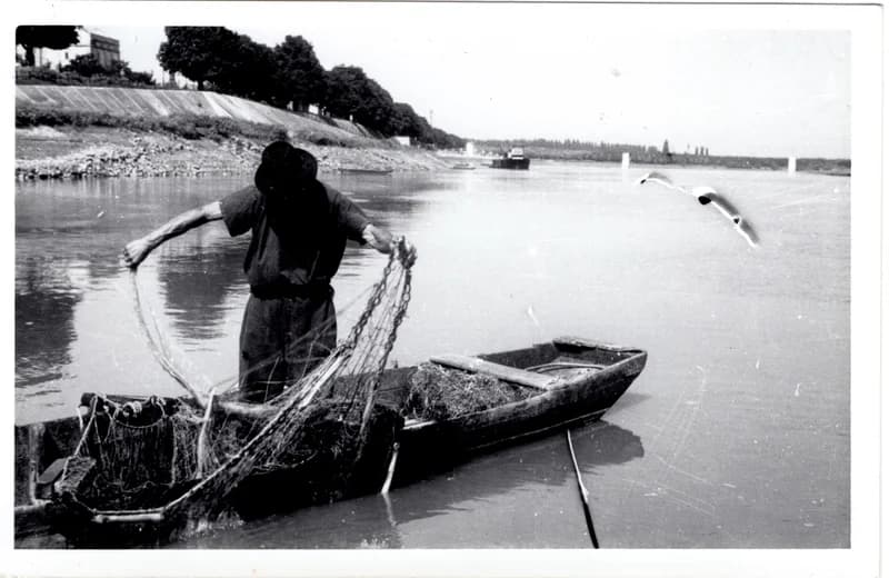 Halász munka közben