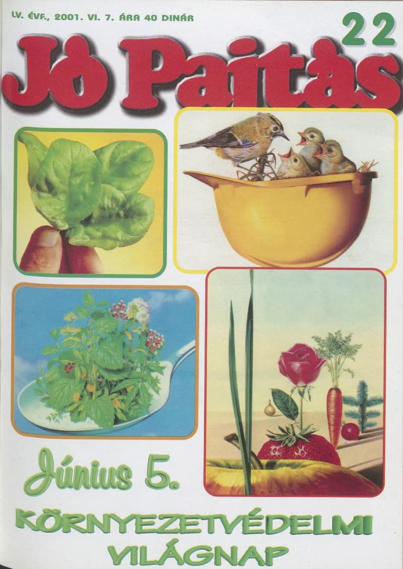 Jó Pajtás, 55. évf. 2001. június 7. 22. sz.