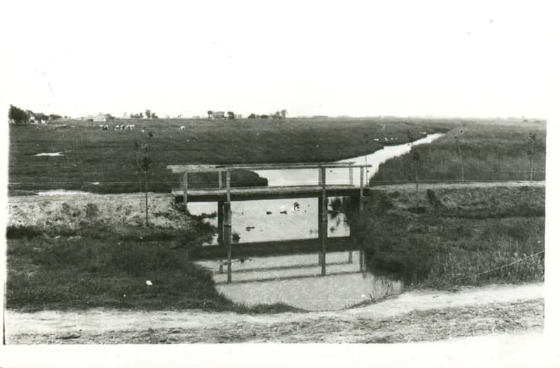 Deszkahíd árkon át