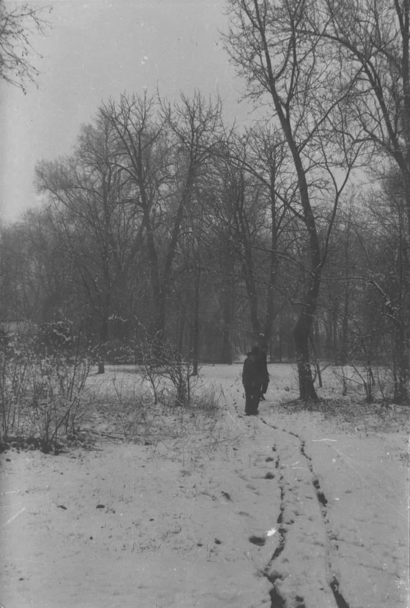 Temerini parkrészlet