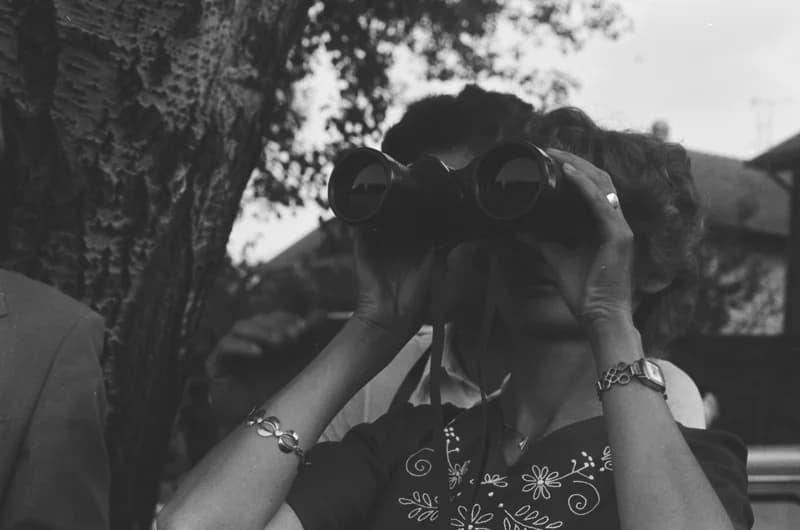 XXI. Gyöngyösbokréta