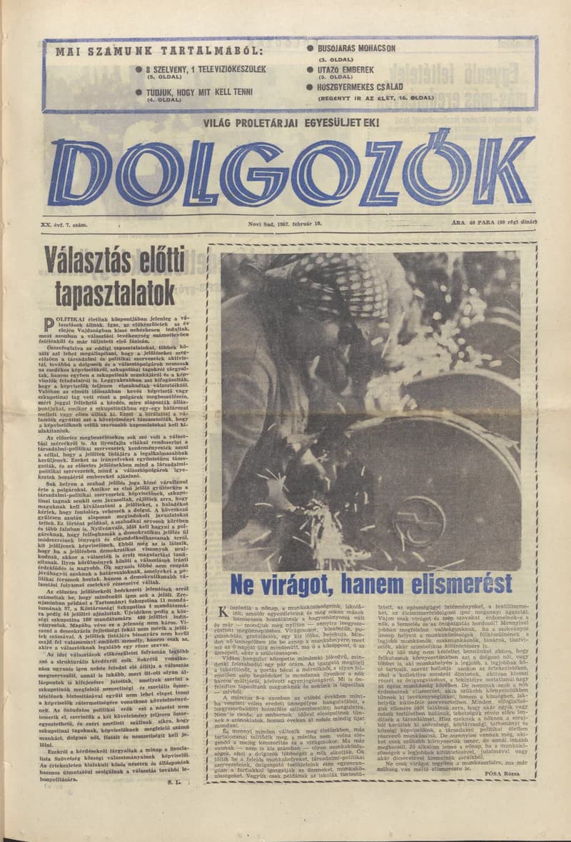 Dolgozók, 21. évf. 1967. február 10. 7. sz.