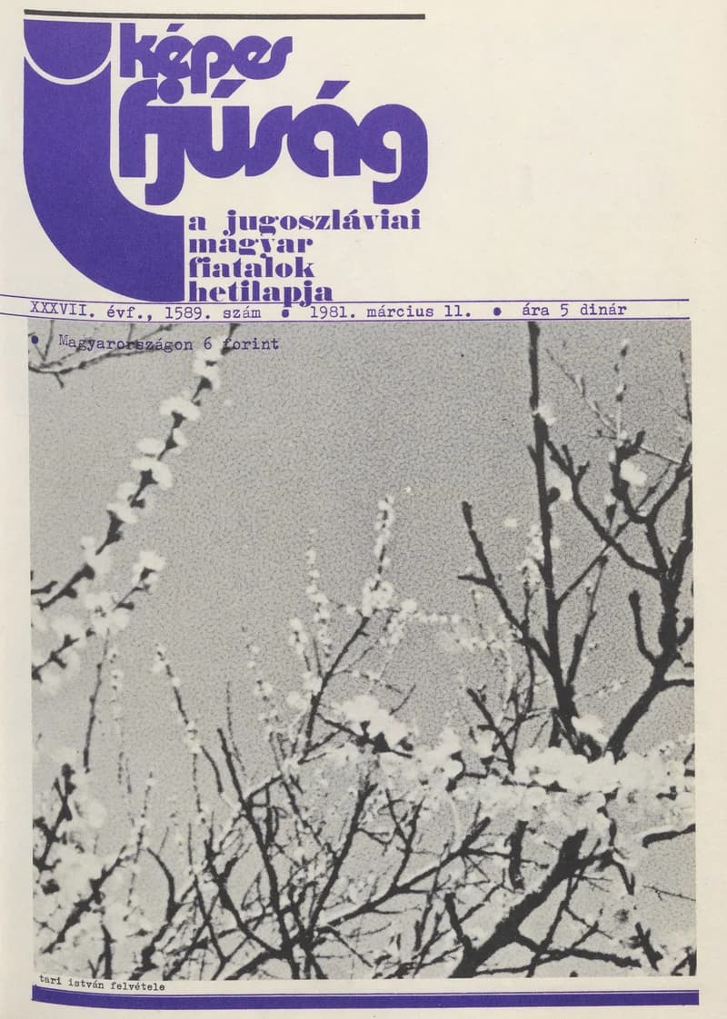 Képes Ifjúság, 37. évf. 1981. március 11. 1590. sz.