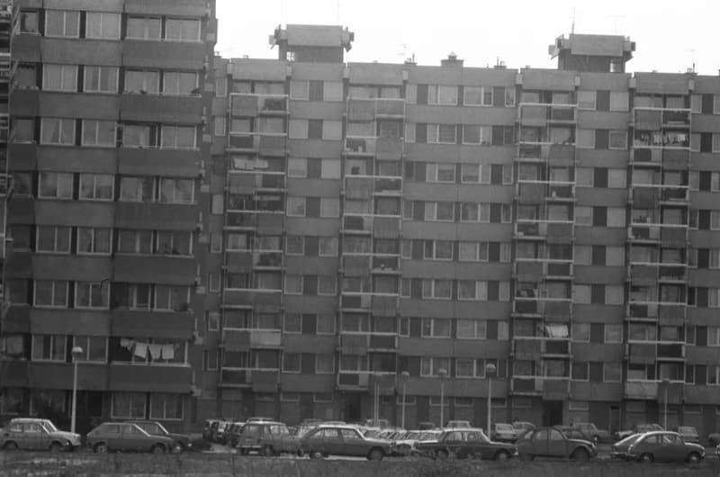 Újvidék, Liman városnegyed