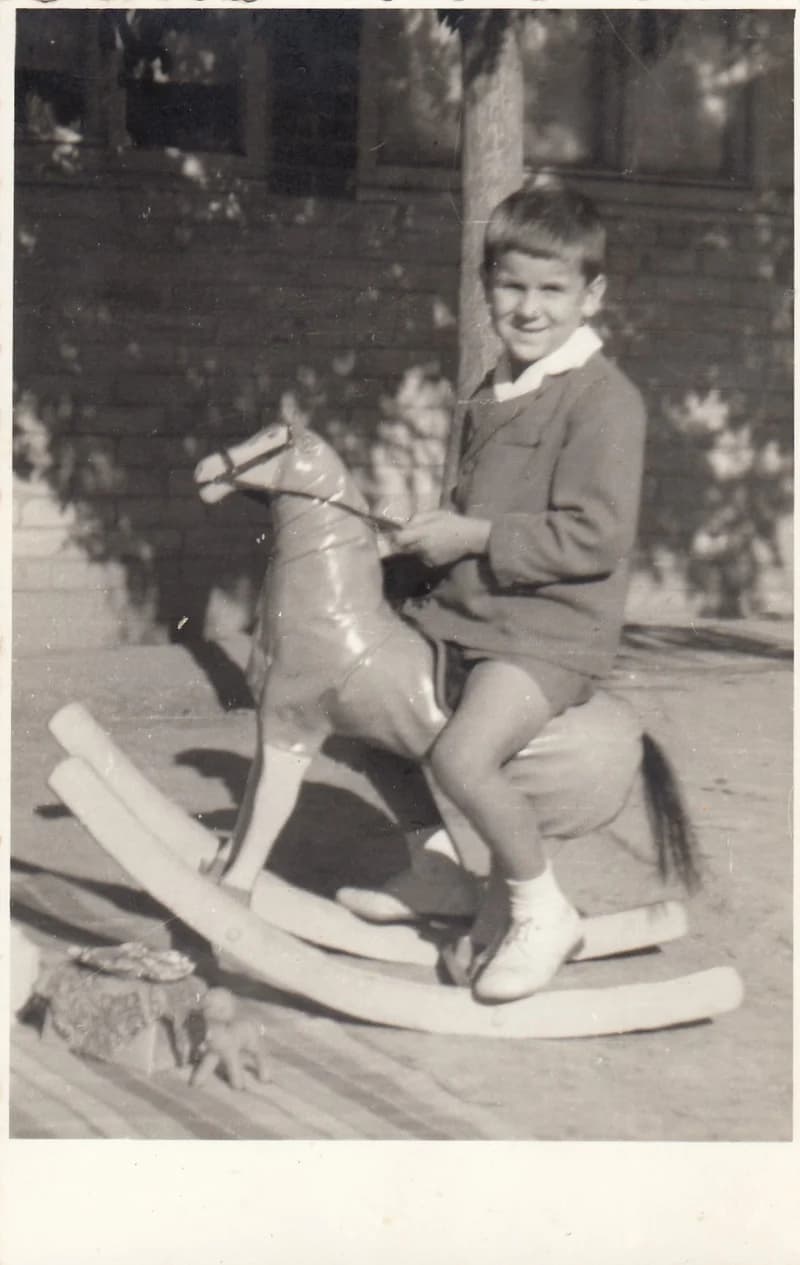 Gyermek a hintalovon