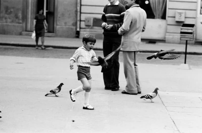 Gyerekek Újvidék utcáin