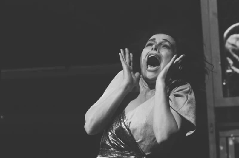 Tömöry Péter (r.), Tolnai Ottó: Paripacitrom 