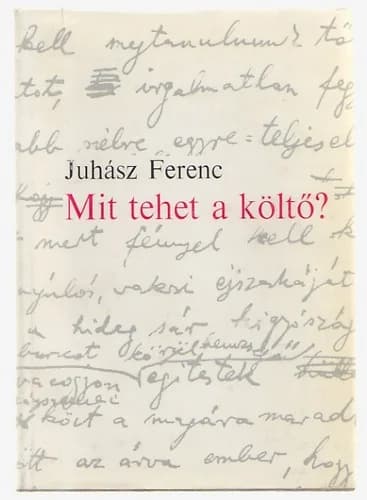 Mit tehet a költő?