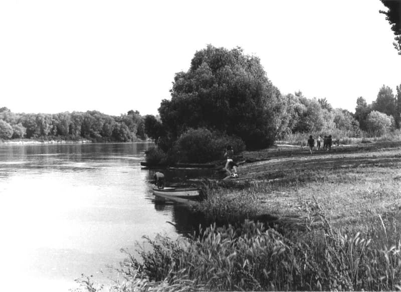 A Fehér család és barátaik a zentai Tisza-parton a "Halászcsárdánál"  