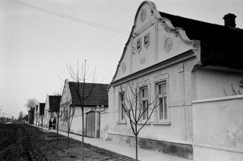 A Bartók Béla Művelődési Egyesületben