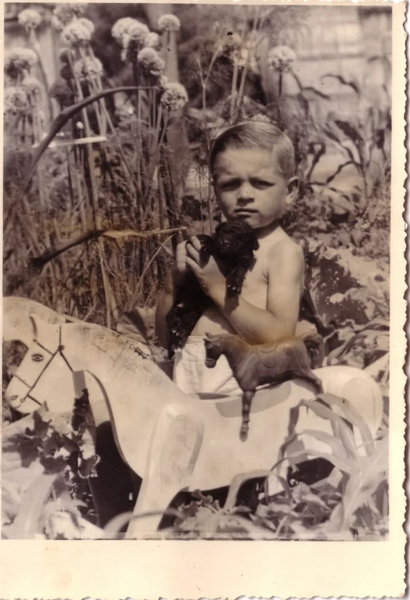 Kisfiú a játékaival