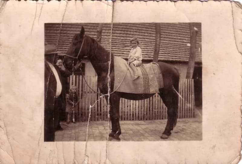 Bagi Mariska  lóháton