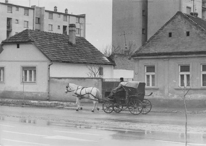 Lovaskocsis az utcán