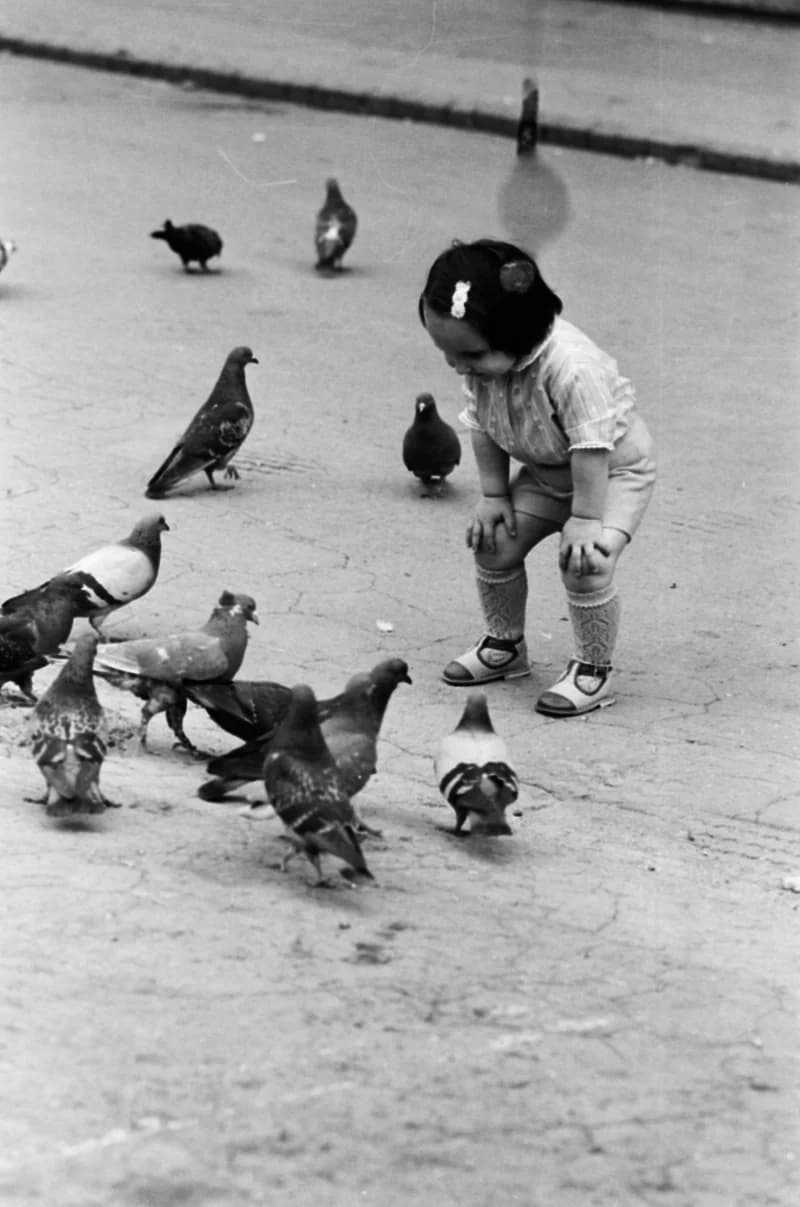 Gyerekek Újvidék utcáin