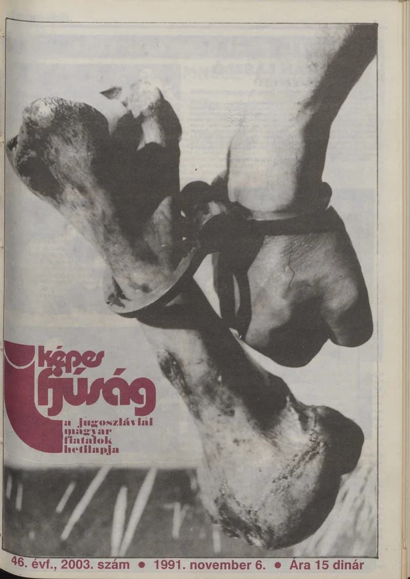 Képes Ifjúság, 47. évf. 1991. november 6. 2003. sz.