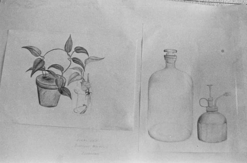 Középiskolások Művészeti Vetélkedője '82