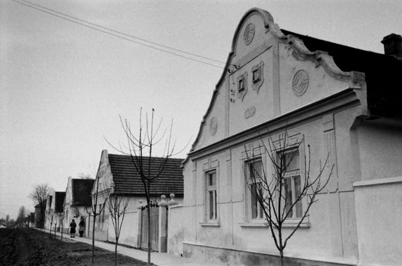 A Bartók Béla Művelődési Egyesületben