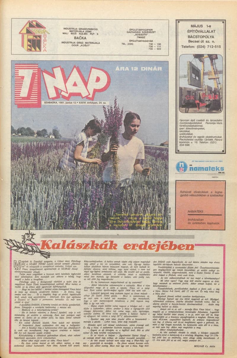 7 Nap, 36. évf. 1981. június 12. 24. sz. 1–16. oldal