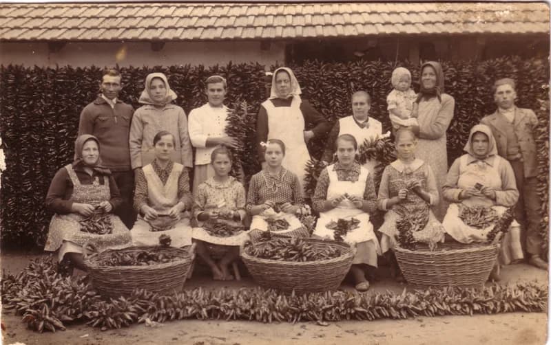 Martonosi paprika 2.