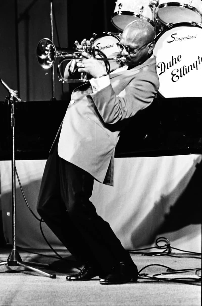 Newport '71 /Jazz Festival/