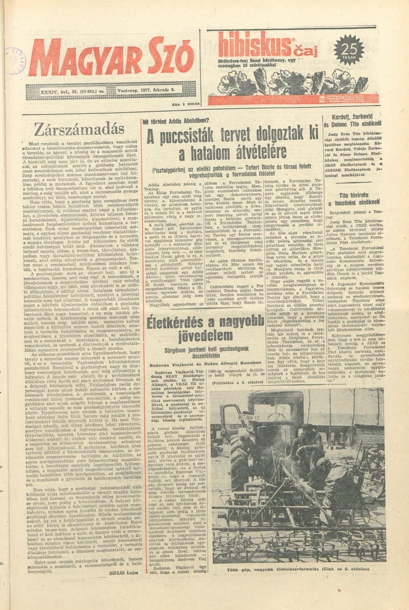 Magyar Szó, 34. évf. 1977. február 6. 35. sz.