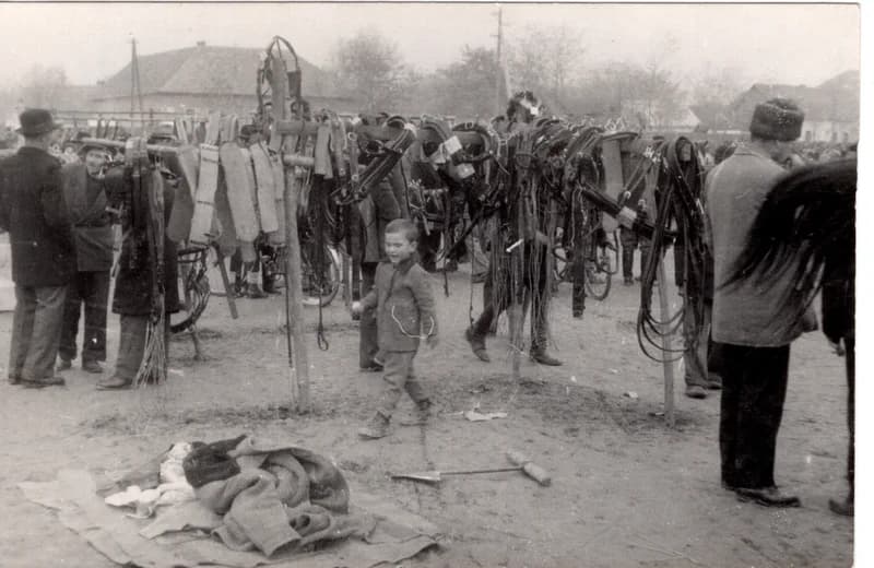 Zentai vásár - szíjgyártók