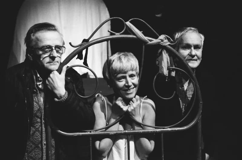 Tolnai: Izéke homokozója, Bayer II.