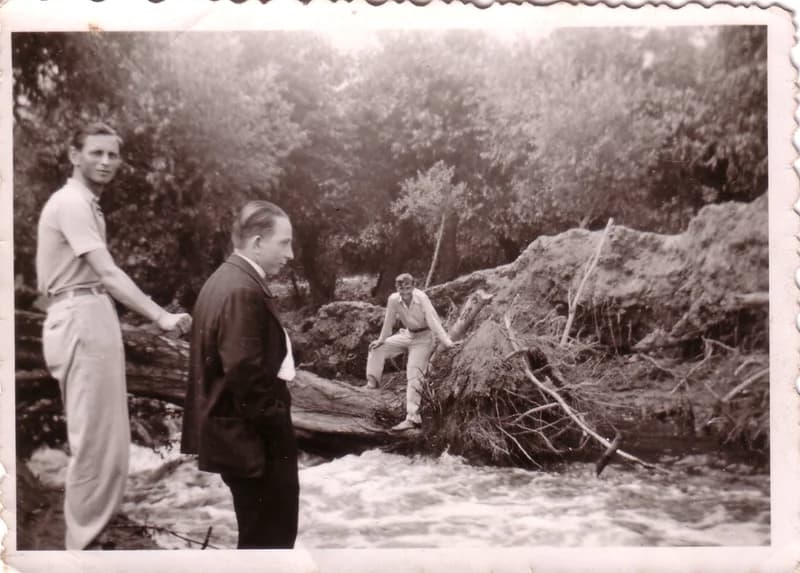 Negyedik nyárfánál