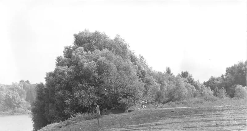 A zentai Halász-csárda