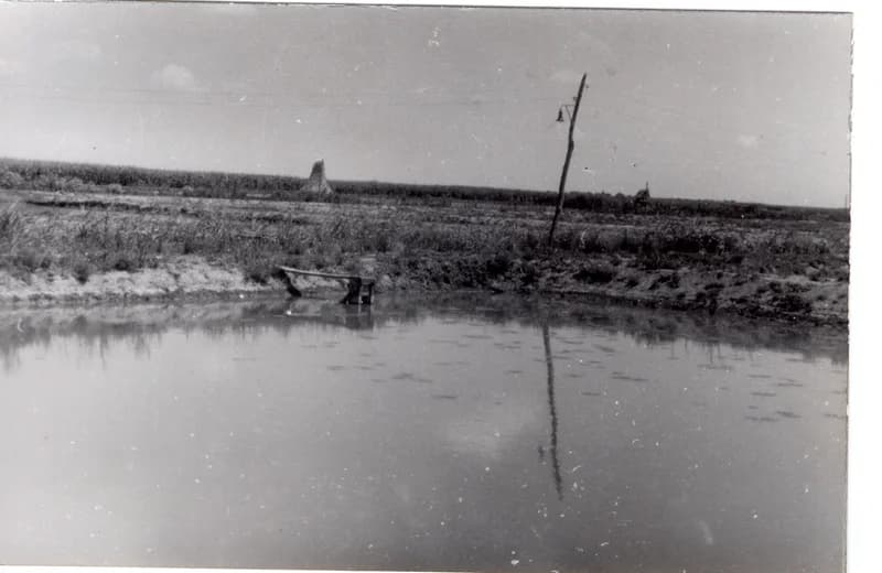 Az écskai halgazdaság