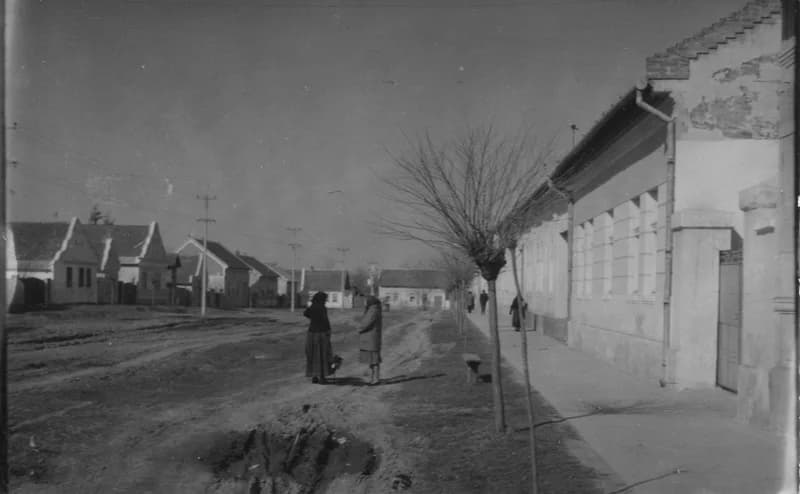 A temerini Kossuth Lajos utca