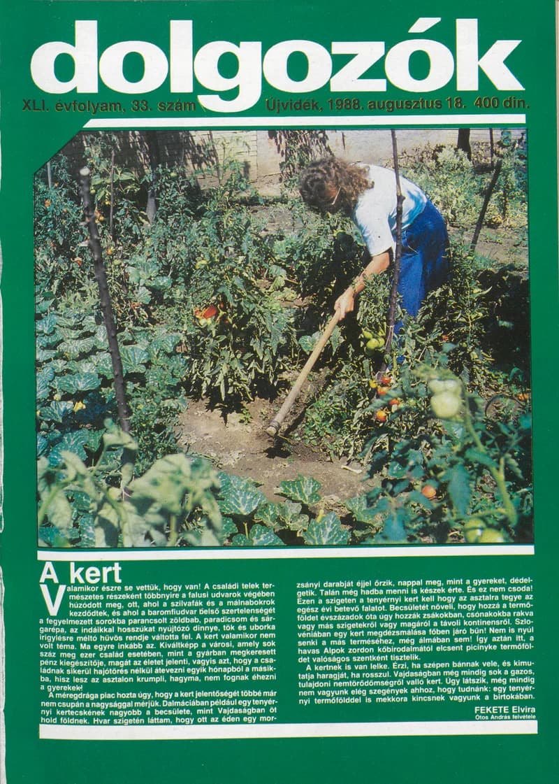 Dolgozók, 42. évf. 1988. augusztus 18. 33. sz.