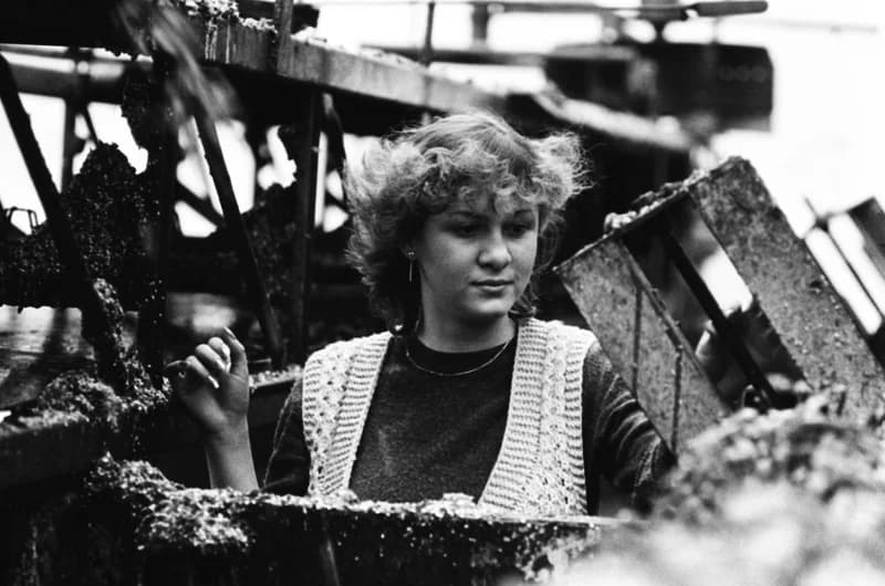 Vitamin Paprikagyár