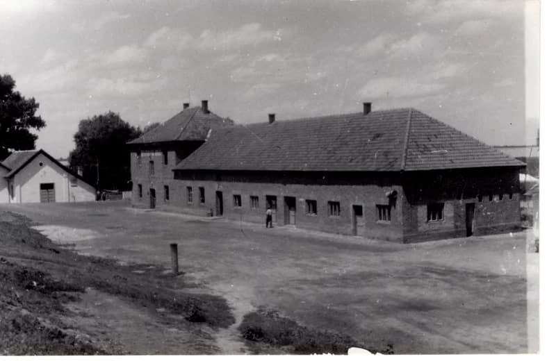 Az écskai halgazdaság