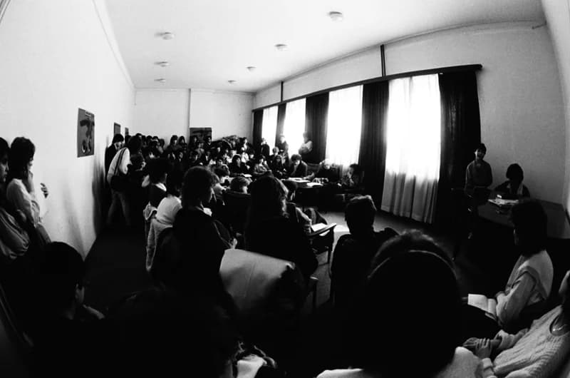 Zónadöntő, Ifjúsági Tribün