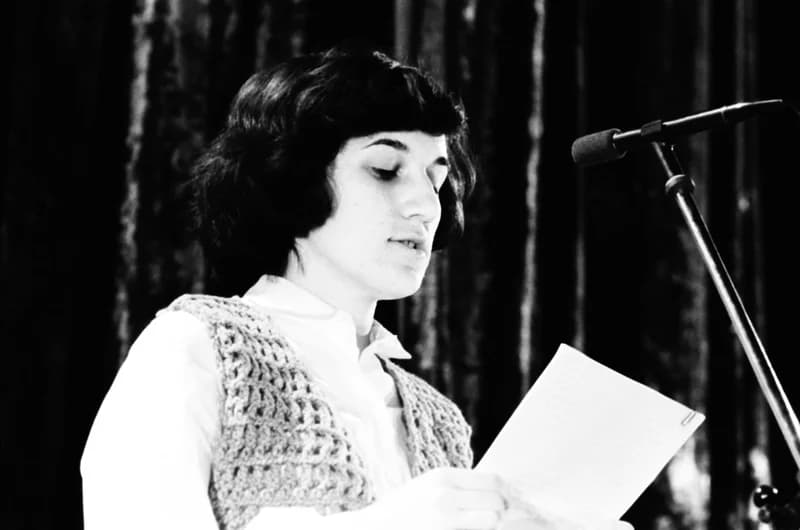 Középiskolások Művészeti Vetélkedője '80 (újvidéki zónadöntő)