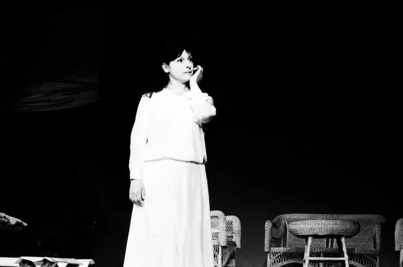 A Vajdasági Színházak Szemléje