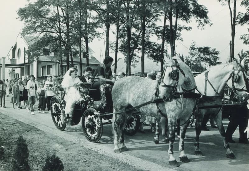 Lukács Rózsa esküvője