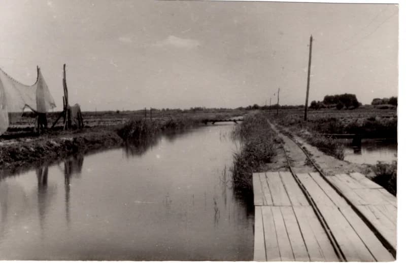 Az écskai halgazdaság