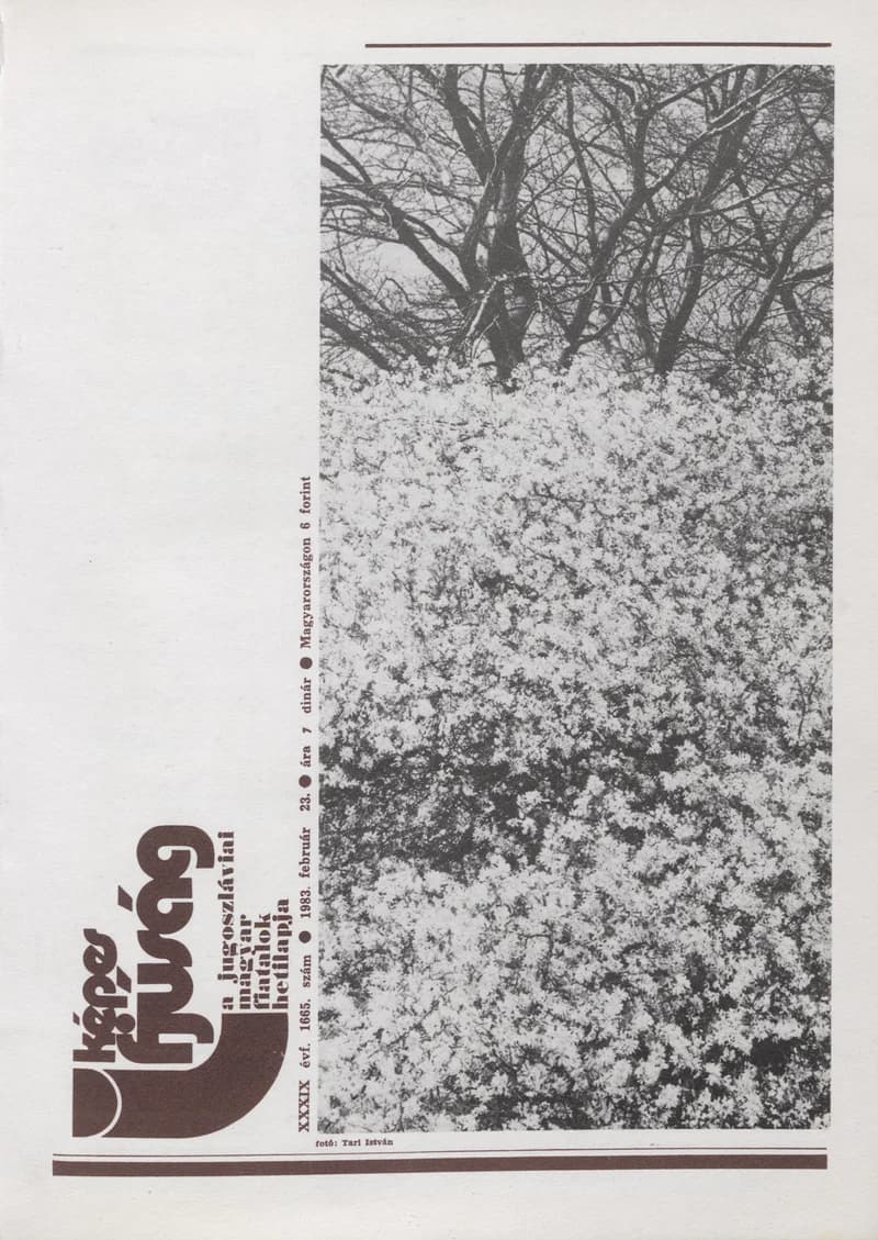 Képes Ifjúság, 39. évf. 1983. február 23. 1665. sz.