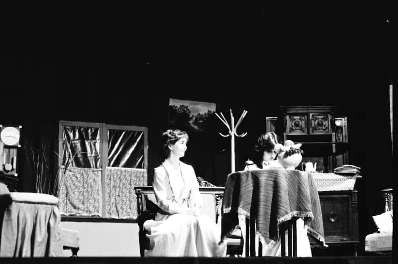 Színművészeti Vetélkedő