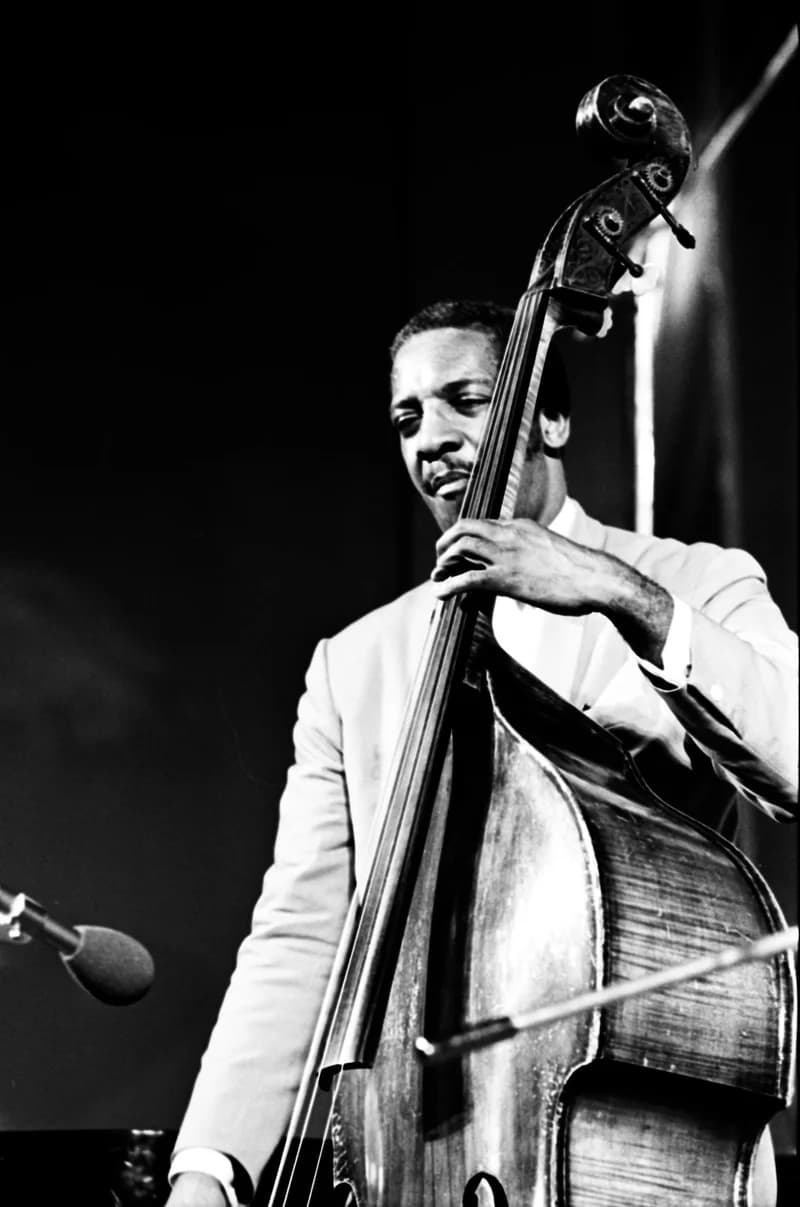 Newport '71 /Jazz Festival/