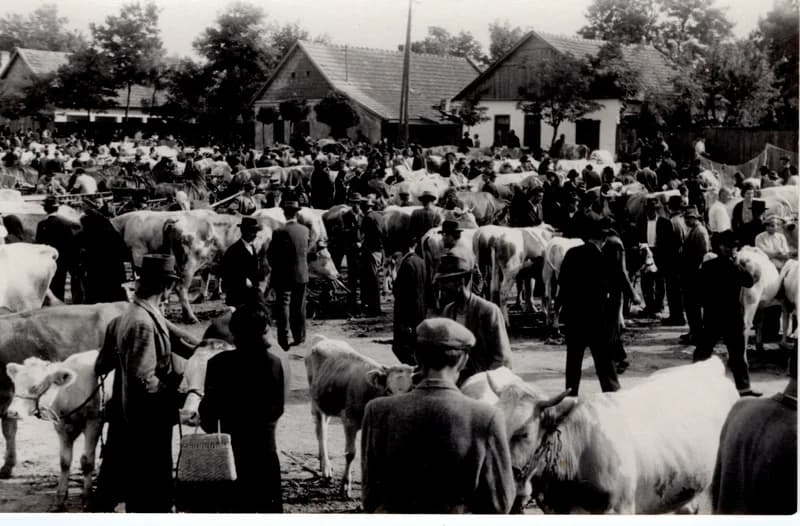 Marhavásár a vasút mellett