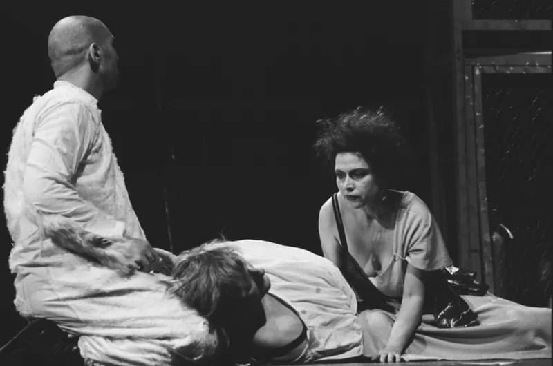 Tömöry Péter (r.), Tolnai Ottó: Paripacitrom 