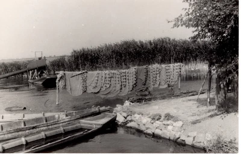 Az écskai halgazdaság - száradó eszközök