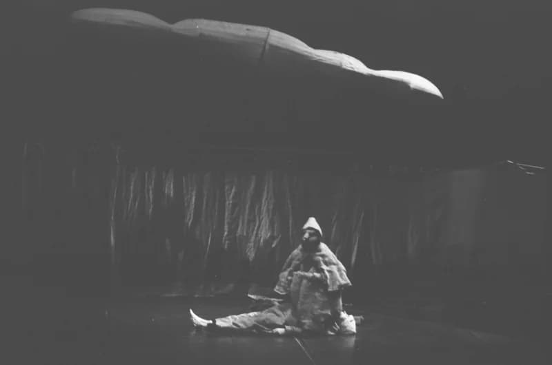 A Párizsi Jel Színház előadása: A hét rinocéroszbőr