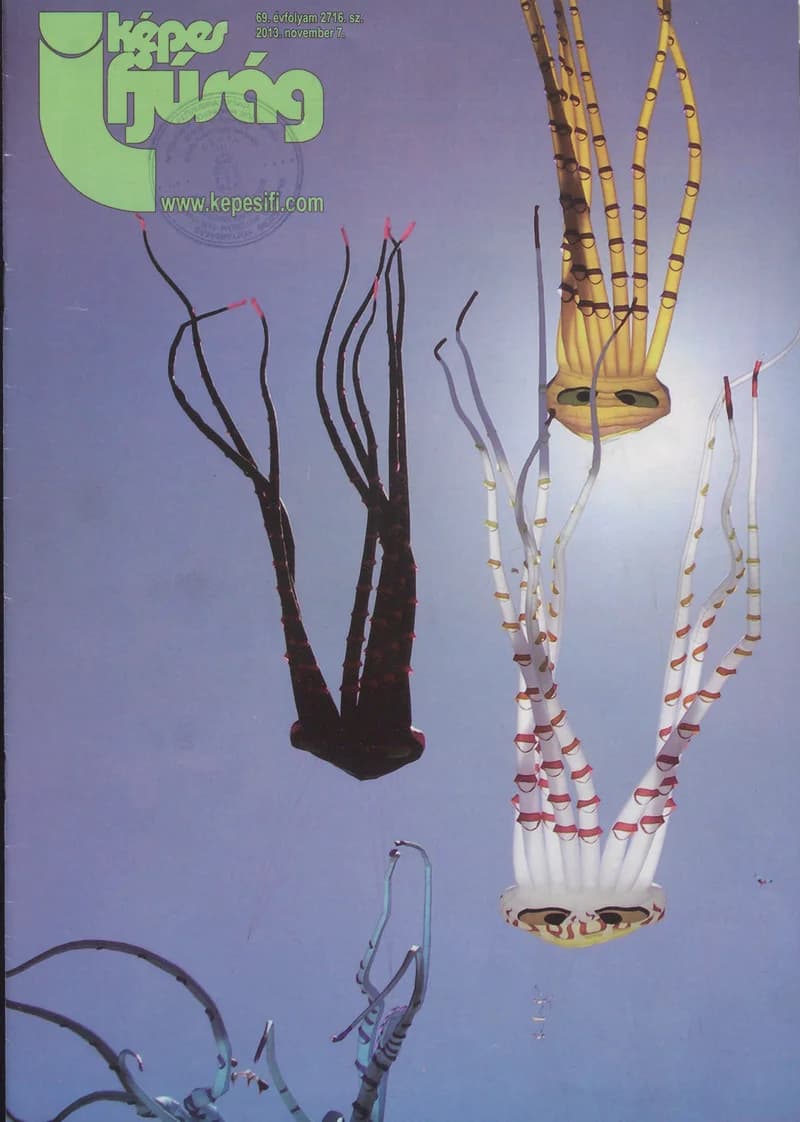 Képes Ifjúság, 69. évf. 2013. november 7. 2716. sz.