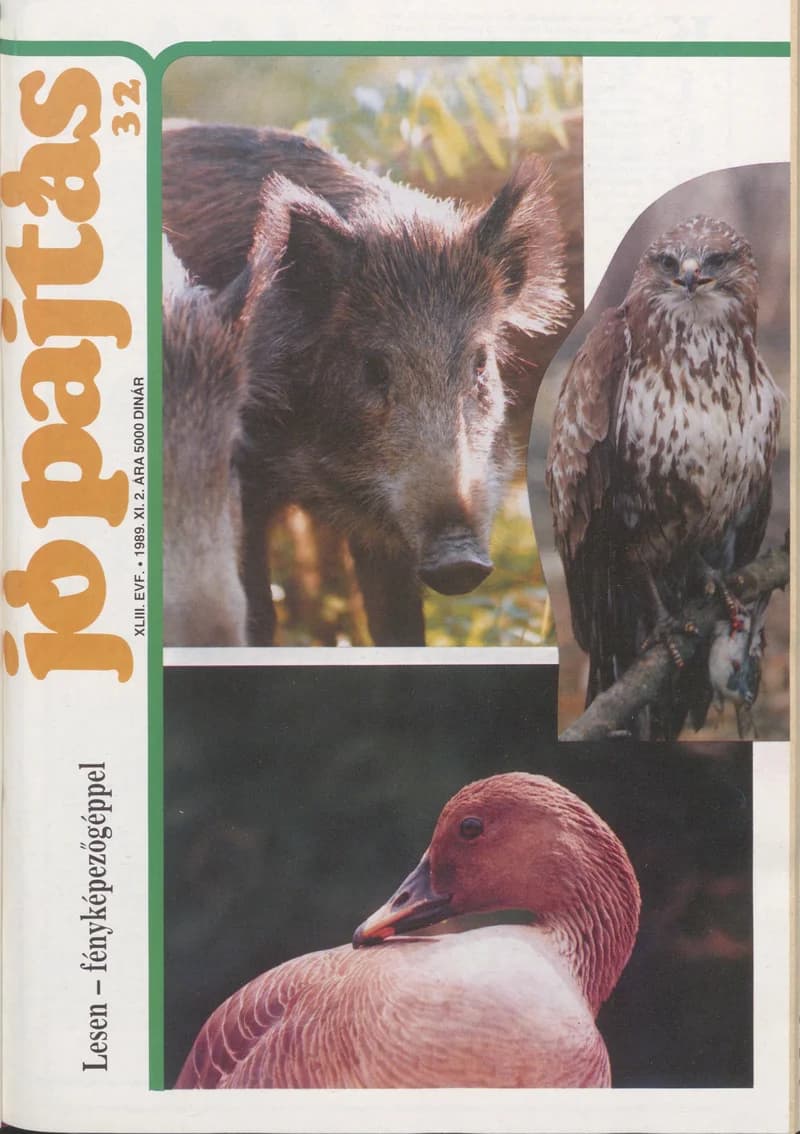 Jó Pajtás, 43. évf. 1989. november 2. 32. sz.