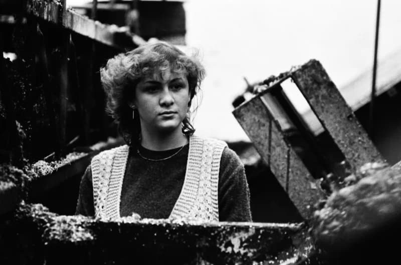 Vitamin Paprikagyár