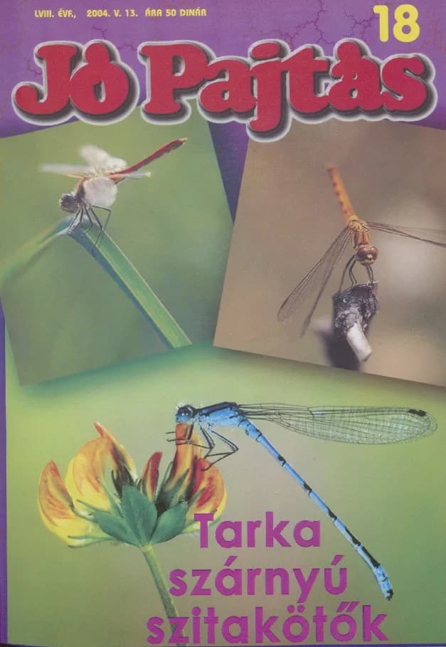 Jó Pajtás, 58. évf. 2004. május 13. 18. sz.